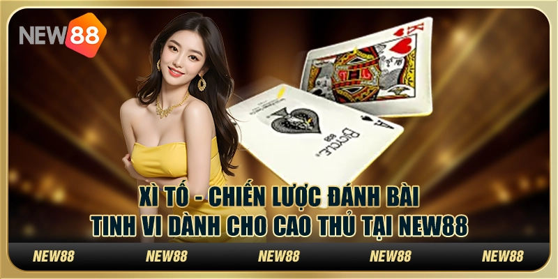 Xì Tố - Chiến Lược Đánh Bài Tinh Vi Dành Cho Cao Thủ Tại New88