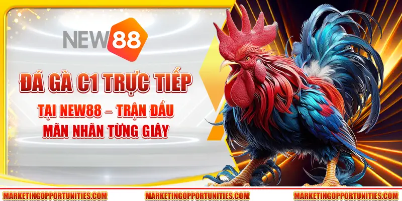 Đá gà trực tiếp C1 tại New88 – Trận đấu mãn nhãn từng giây
