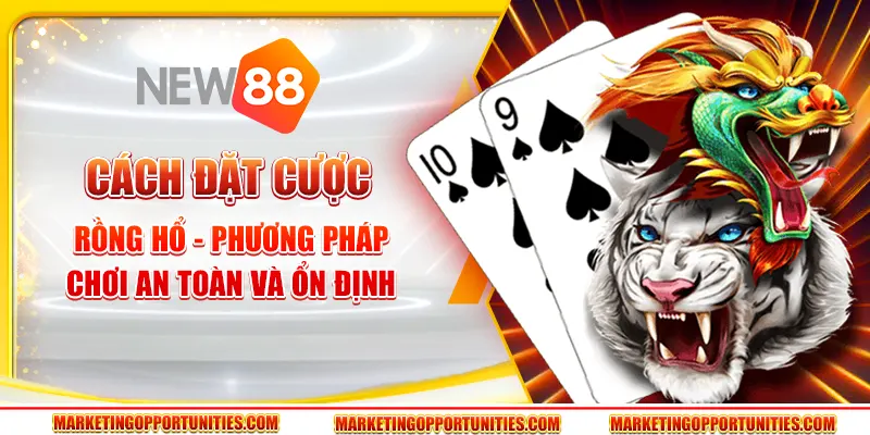 Cách đặt cược Rồng Hổ - Phương pháp chơi an toàn và ổn định
