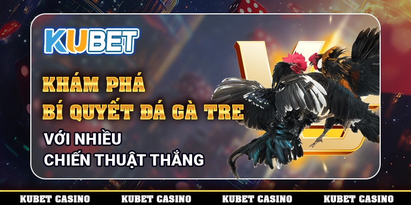 Khám Phá Bí Quyết Đá Gà Tre Với Nhiều Chiến Thuật Thắng