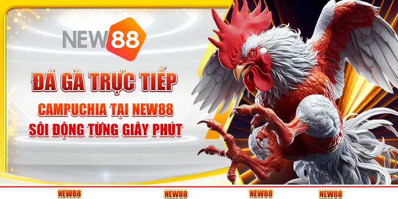 Đá gà trực tiếp Campuchia tại New88 - Sôi động từng giây phút
