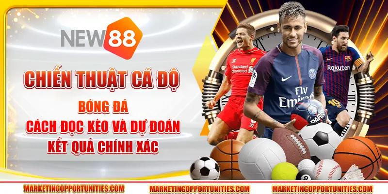 Chiến thuật cá độ bóng đá - Cách đọc kèo và dự đoán kết quả chính xác