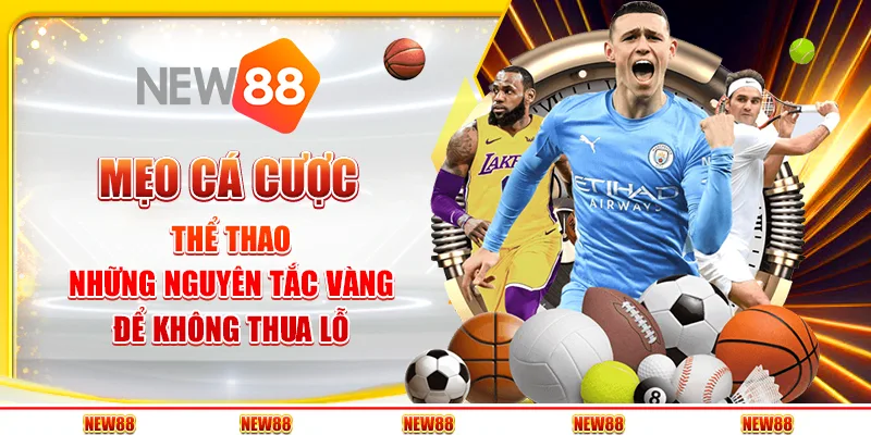 Mẹo cá cược thể thao - Những nguyên tắc vàng để không thua lỗ