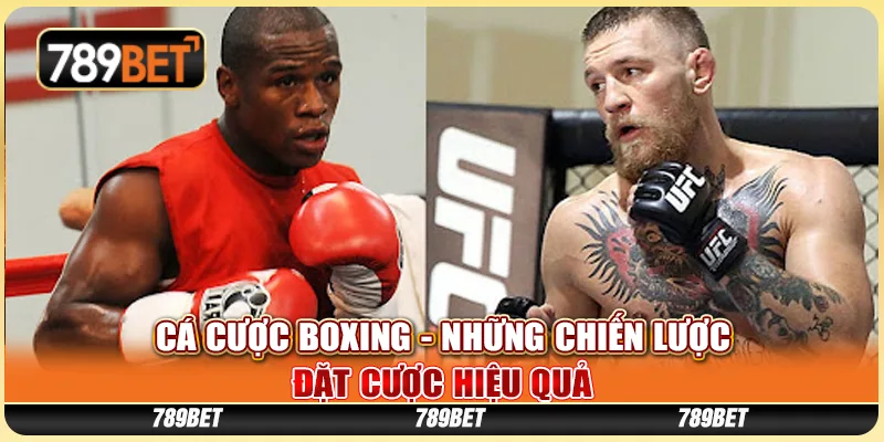 Cá cược boxing