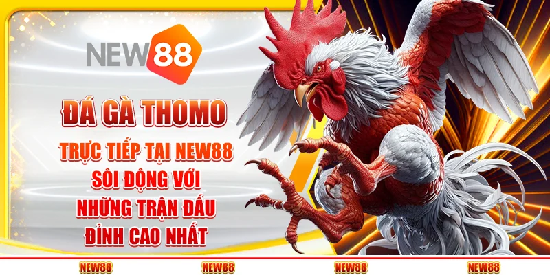 Đá gà thomo trực tiếp tại New88 - Sôi động với những trận đấu đỉnh cao nhất
