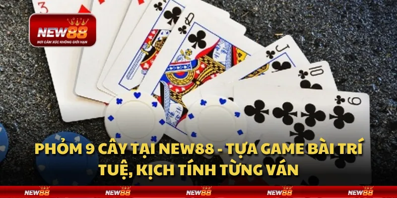 Phỏm 9 cây tại New88 - Tựa game bài trí tuệ, kịch tính từng ván