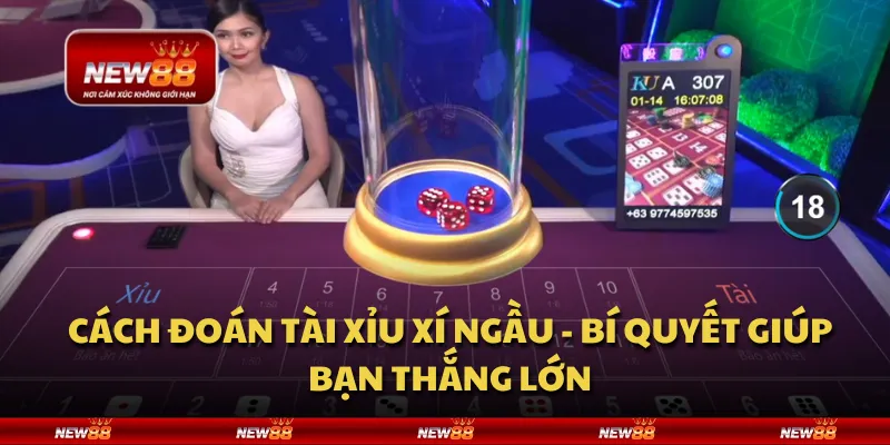 Cách đoán tài xỉu xí ngầu - Bí quyết giúp bạn thắng lớn